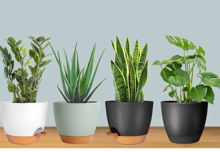 Flower Pot Self Water Indoor Plants Plastic Automatic Self Watering Plant Pots