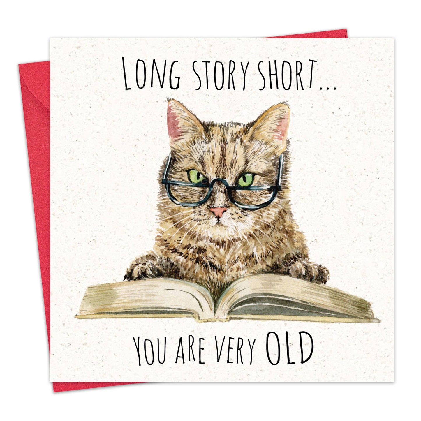 Long Story Short Cat - Funny Birthday Card