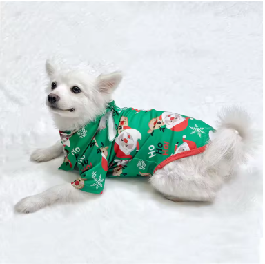 Merry Christmas New Year’s Clothes 5piece Family with dog PJ